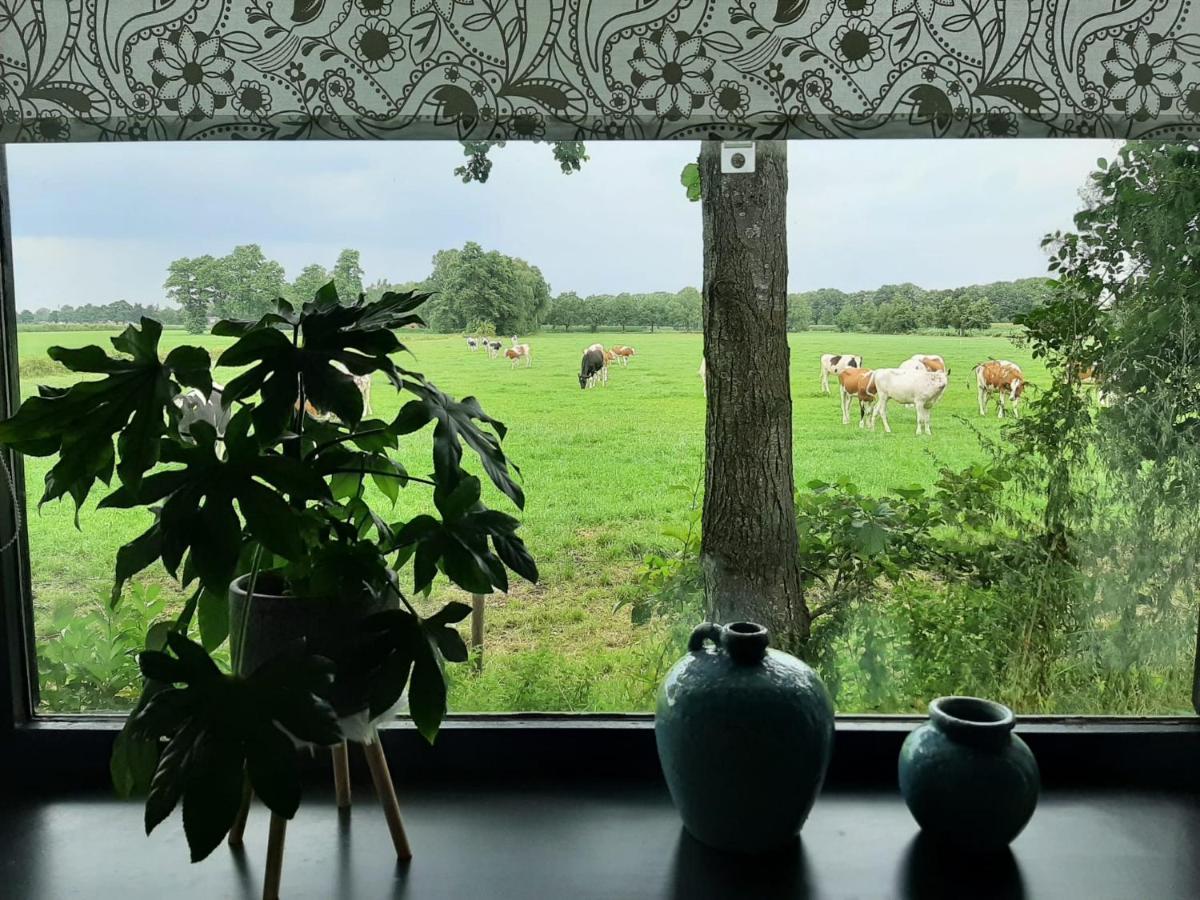 Pak Oe Rust, Bij Stacaravan Busscher Geesteren  Esterno foto